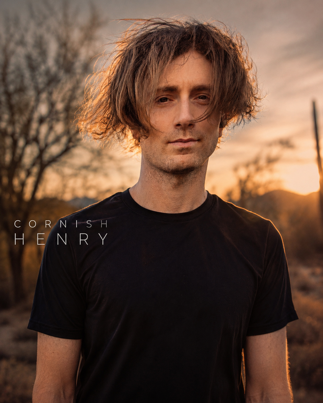 Cornish Henry artwork